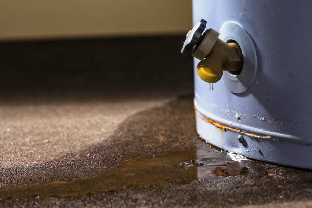 Reliable Lone Tree, CO Water damage restoration Solutions