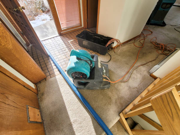 Best Water damage restoration near me  in Lone Tree, CO