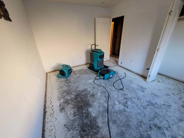 Best Fire Damage Restoration  in Lone Tree, CO
