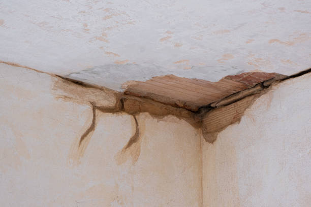 Best 24-hour water damage restoration  in Lone Tree, CO