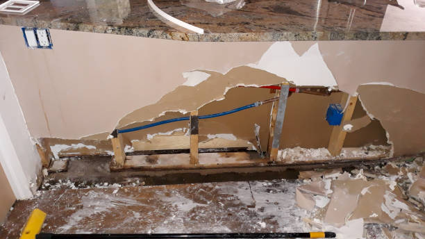 Best Fire Damage Restoration  in Lone Tree, CO