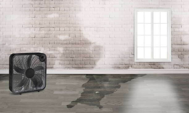 Sewage cleanup and water damage restoration in Lone Tree, CO
