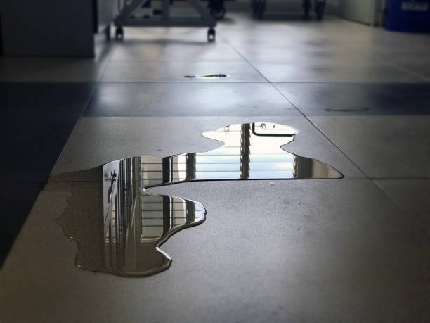 Best Water damage contractors near me  in Lone Tree, CO