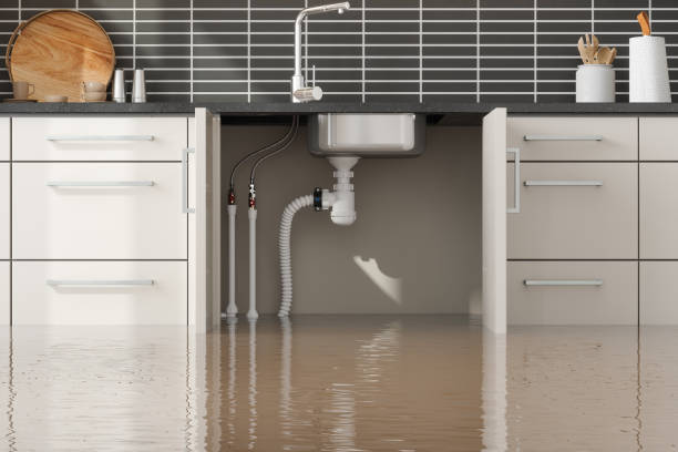 Best Carpet water damage restoration  in Lone Tree, CO