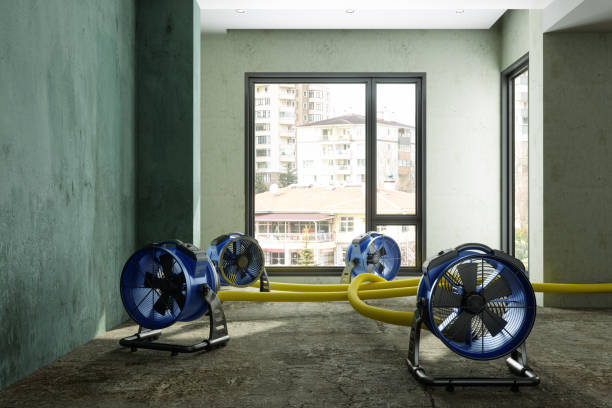 Best Water damage cleanup near me  in Lone Tree, CO