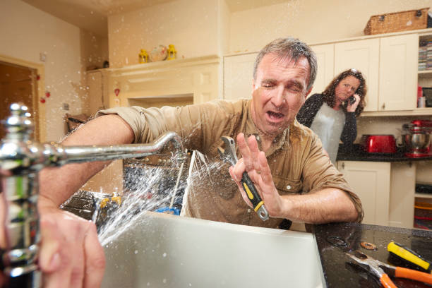Best Water damage restoration mold remediation  in Lone Tree, CO